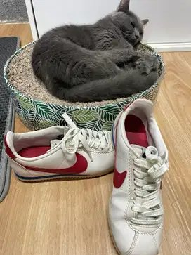 Sepatu Bekas NIKE ONITSUKA TIGER VANS NEW BALANCE