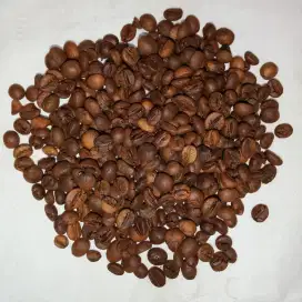 Kopi Robusta Premium Quality