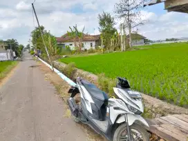 Dijual lahan sawah di pemukiman padat penduduk