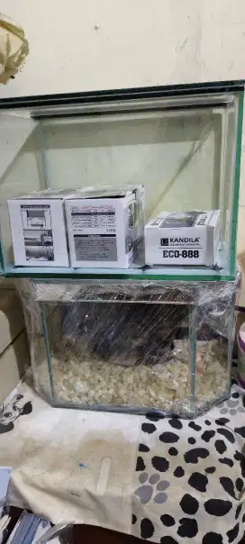 Aquarium Ikan Hias