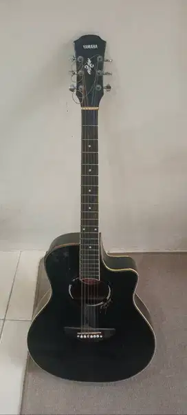 Yamaha APX 500 II