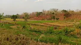 Tanah di Sumberkembar, Pacet Mojokerto