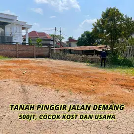 Dijual Tanah Demang Pinggir Jalan- Demang Lebar Daun