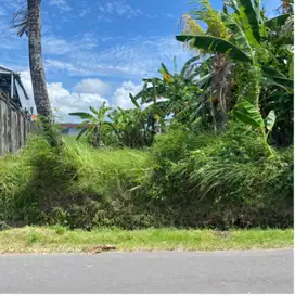 di jual tanah kaba kaba kediri tabanan dekat pantai seseh