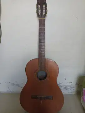 Dijual gitar Yamaha C .310