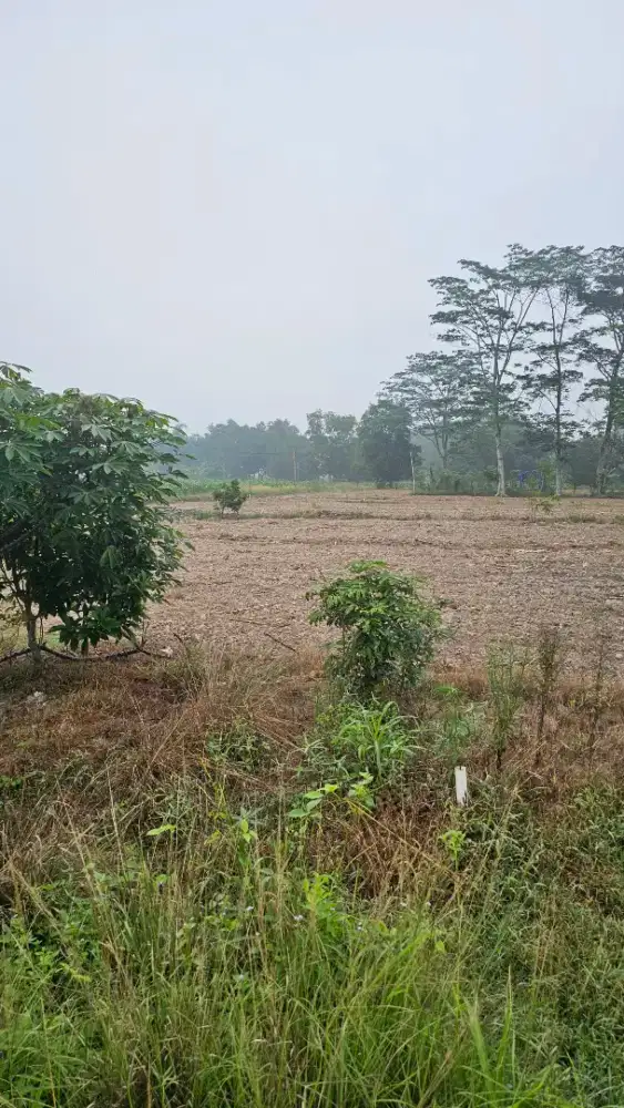 Jual Tanah Kavling 250 m
