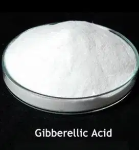 GA3 90% 1 kg Gibberellic Acid Technical