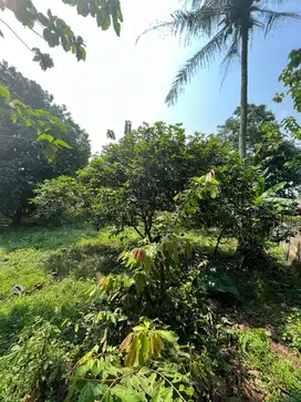 jual tanah di legok tangerang