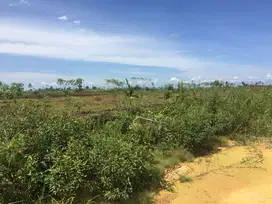 TANAH LUAS POTENSI BISNIS BESAR DI KUBU RAYA, KALBAR