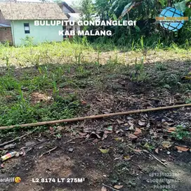 tanah dijual rumah di Bulupitu Gondanglegi Malang