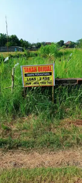 Dijual tanah di LC Dauhwaru