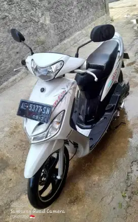 Mio putih albino original