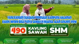 Tanah Sawah Murah Strategis 90 Menit Dari Exit Tol Kota Wisata