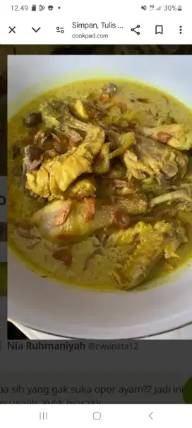 OPOR AYAM KAMPUNG TANPA MICIN