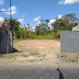 Dijual tanah 79 ru di tulungagung, jawa timur