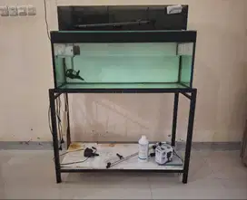 Dijual krn bosan. Paket aquarium + rak + asesoris nya