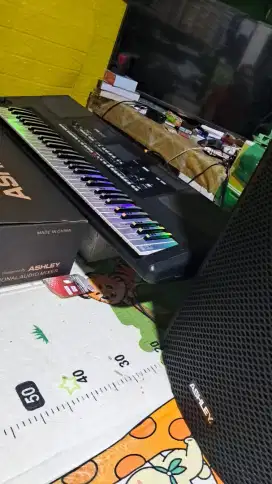 Korg PA300 os V2.10 18 des 2019