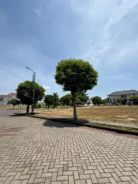 NIAT JUAL
Dijual tanah kavling Dian Istana Taman Kedaton Surabaya BRT