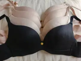 Bra Pierre cardin import