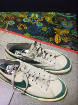 Compass Gazelle wafer green