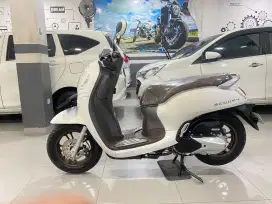 HONDA SCOOPY PRESTIGE