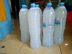 Minuman Peluruh Batu ginjal alami