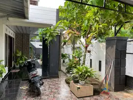 Rumah Pribadi Adem & Aesthetic