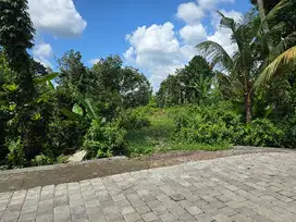 DIJUAL TANAH KEBUN DURIAN VIEW PANORAMA DI TABANAN BALI