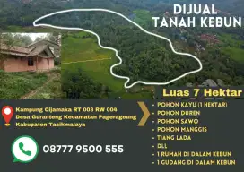 DIJUAL KEBUN ISI DUREN, LADA, MANGGIS, KAYU DLL LUAS TANAH 7 HEKTAR