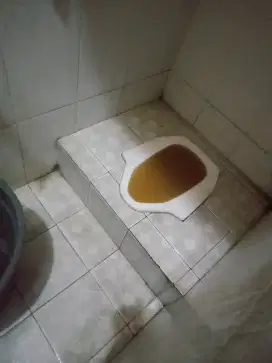 Tukang WC tumpat saluran air kamar mandi tumpat wastafel mampet