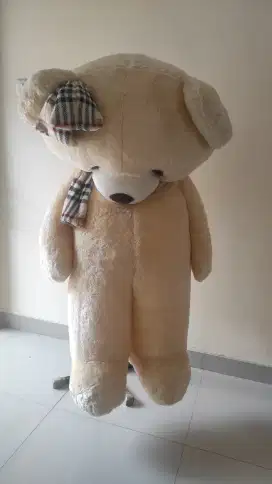 Boneka Teddy Bear