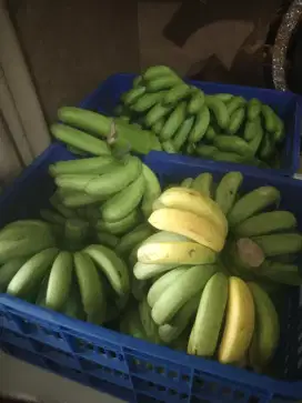 Pisang barangan merah