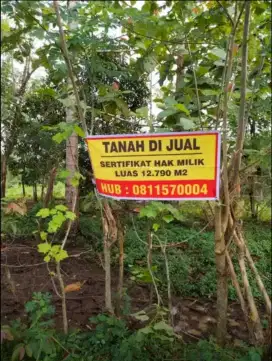 Jual murah tanah strategis di Pattalasang Gowa Sulawesi Selatan