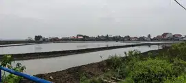 Tanah Desa Sukajaya Cilamaya Kulon Termurah