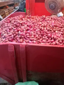 Bawang merah. Harga grosir