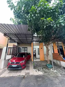 Disewakan Rumah Puri Wahid Cluster Jasmine