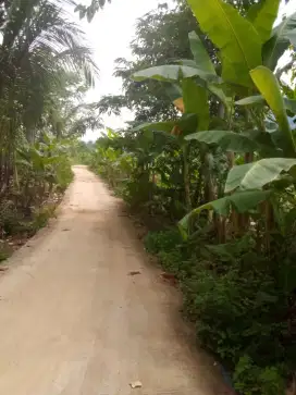 Dijual tanah sawah dan darat nempel jalan kebupaten