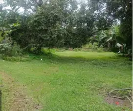 SEBIDANG TANAH 5150 M , CIBUBUR RAYA, JAKARTA TIMUR