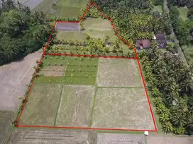 Dijual Tanah Sawah Datar Di jembrana Ada Sumber air Kelebusan