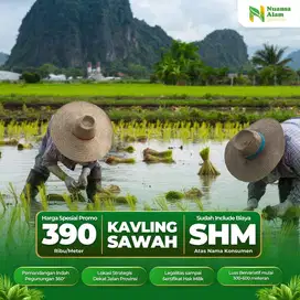 Investasi Tanah Kavling Sawah Cuma 39 Jutaan