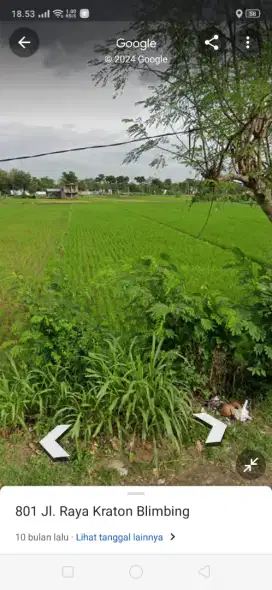 Sawah murah mojo pinggir jalan besar