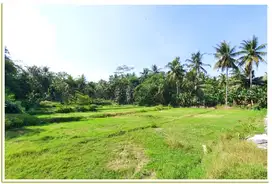 Dekat Pintu Tol Kulon Progo, Cocok Investasi