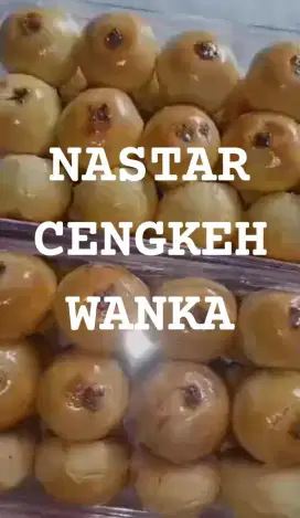 ANEKA KUE NASTAR