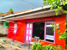 Rumah di kontrakan/di sewakan