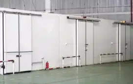 Cold Storage Freezer 30 Ton