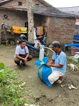 IKAN GURAME SEHAT DAN SEGAR