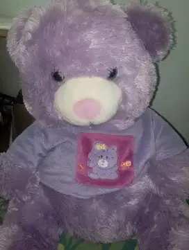 Teddy bear ungu