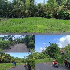 BUC Tanah di Saba Gianyar Bali