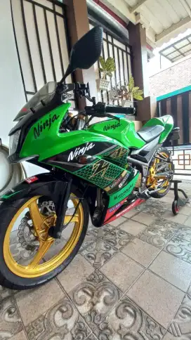 Kawasaki Ninja RR 2015