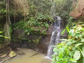 dijual tanah kebun durian dan manggis dengan air terjun di bali